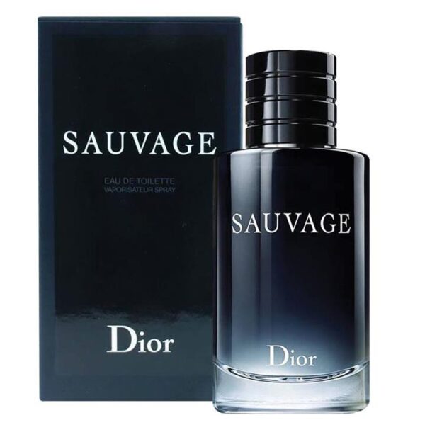 Sauvage by Christian Dior (Men) EDT 100ml