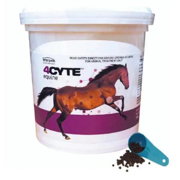 4Cyte Equine Granules Horse Joint Supplement 700g